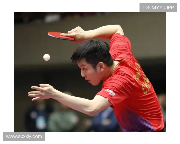 武汉乒乓球队选拔赛耐力表现分析与总结