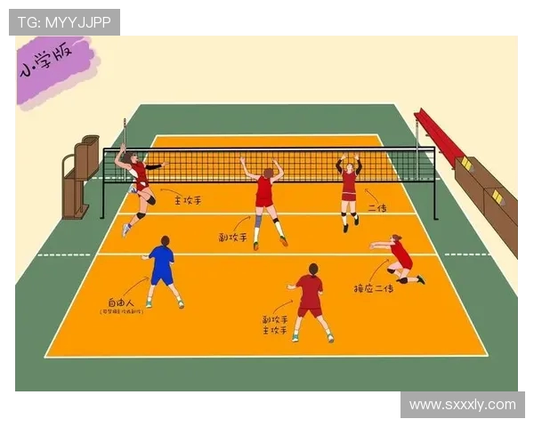 武汉排球队运营模式解析及其在排球热点中的影响与发展策略探讨